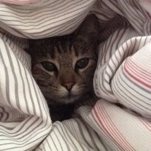 Meet your Posher, Anne-marie